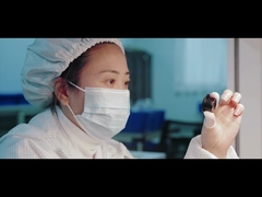 مقدمة عن الشركة